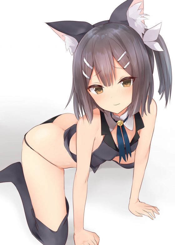 Anime cat girl ecchi
